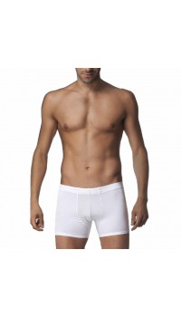 3 Adet Çift Kaplan Erkek Elastanlı Boxer 810