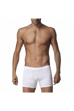 3 Adet Çift Kaplan Erkek Elastanlı Boxer 810
