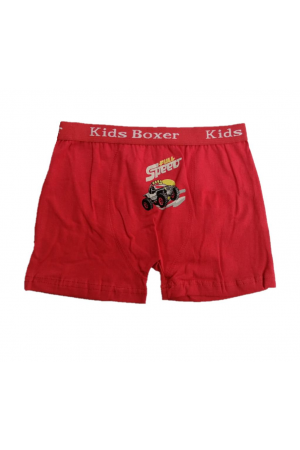 Sedef Yıldız Erkek Çocuk Likralı Boxer 1089